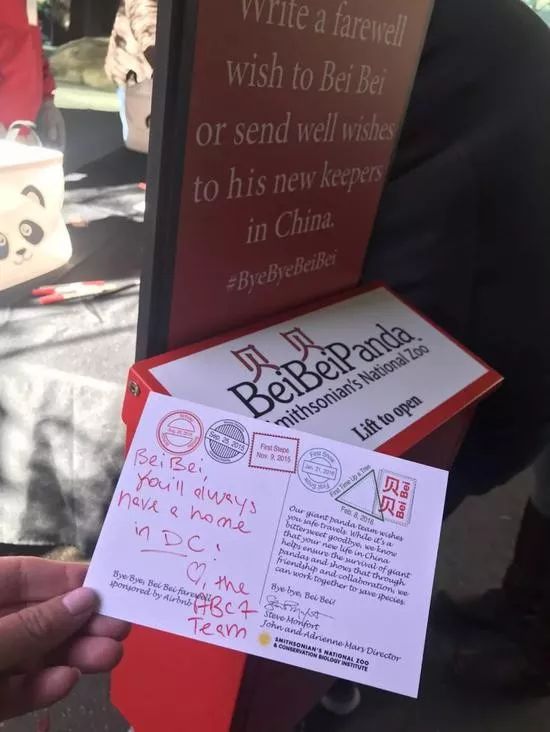 为什么全世界都喜欢大熊猫,世界各地的人们都喜爱大熊猫英语