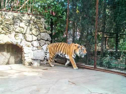 教育孩子注意事项和饮食,教育小孩不要忽视小错误