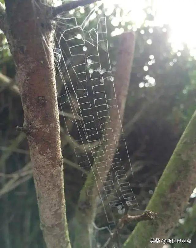 神奇的视觉错位图30张,神奇的错位照片