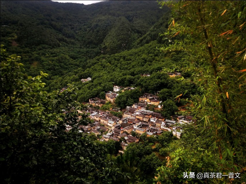 为什么不喝正山小种,红茶为什么不建议长期喝