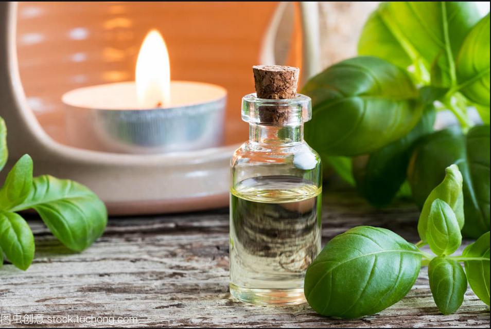 罗勒怎样才能提取精油,教你认识美妙的天竺葵精油