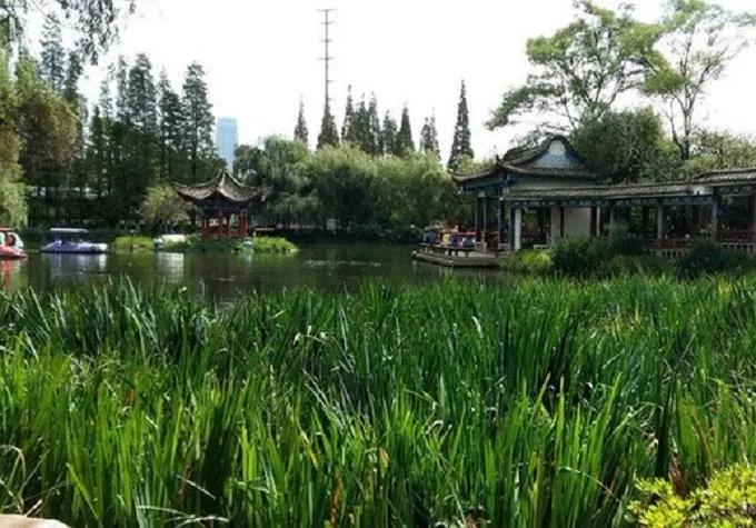 昆明五大免费景点游玩指南全攻略,昆明旅游必看景点有哪些免费的