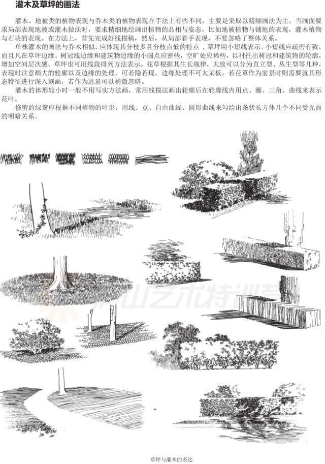 儿童绘画涂色基础入门教程,零基础新手绘画入门教程