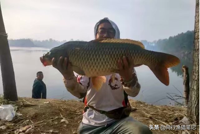 单手卸鱼小技巧,卸鱼手法教程视频