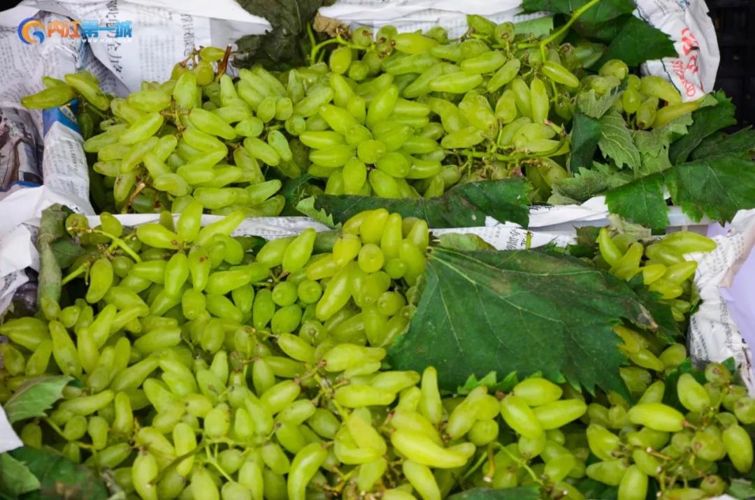 四川内江有哪些水果批发市场,内江最近的水果市场