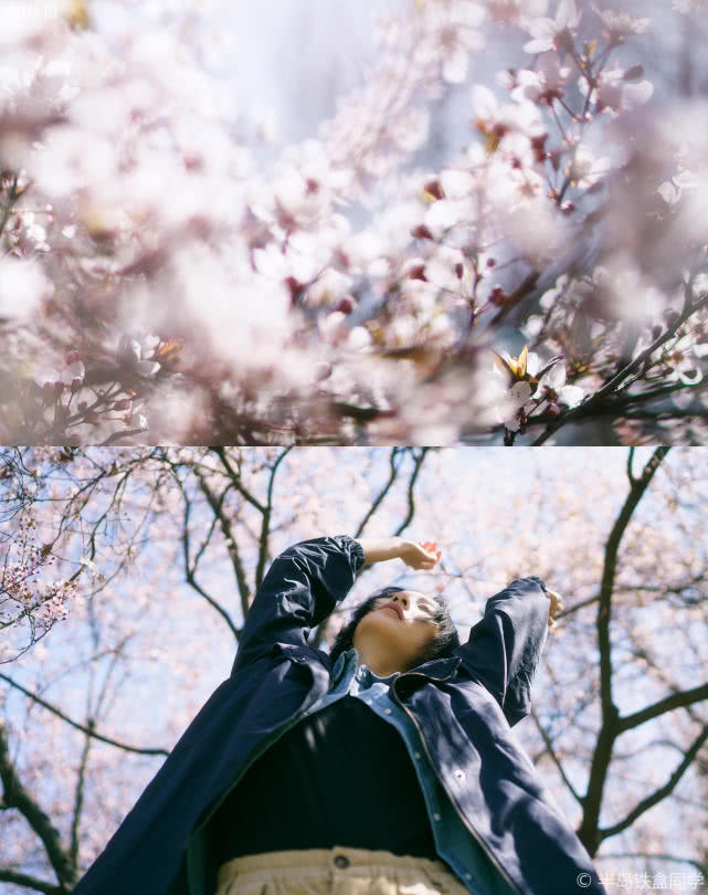 港风美人的在樱花树下的邂逅,感受春天情绪的蔓延