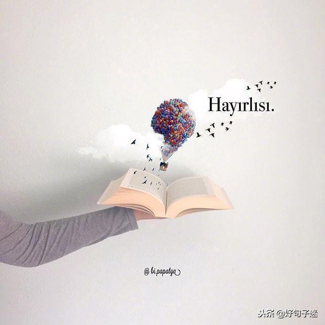 短小精悍的优美句子10-15字,精辟短小的句子