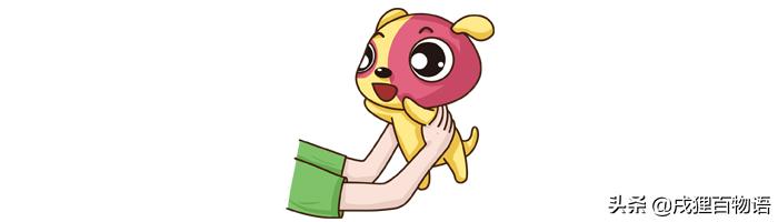 新犬到家不停叫喊怎么办,小犬刚来不睡觉怎么办