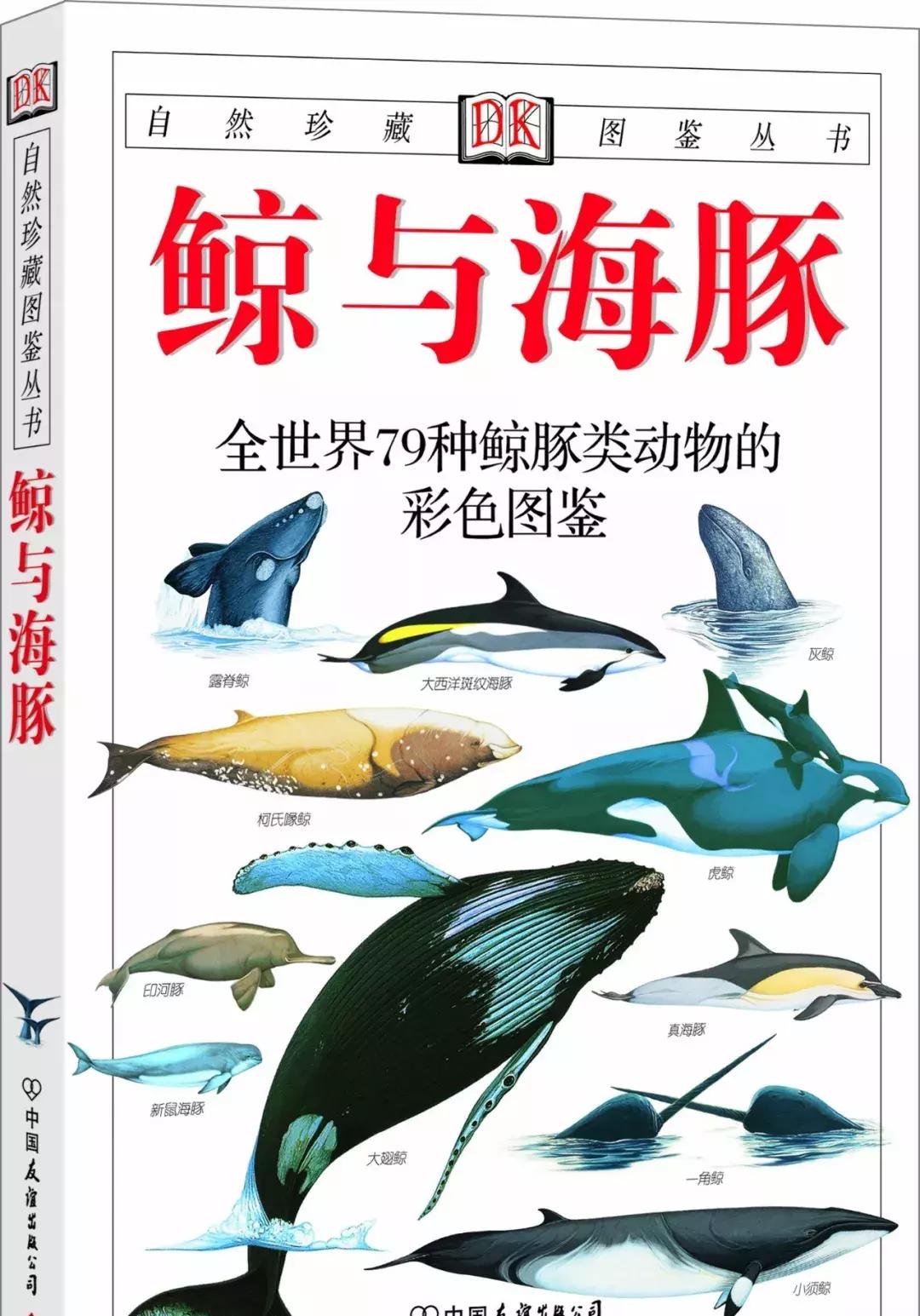 海洋馆的海洋动物表演,小孩子看的海洋动物视频