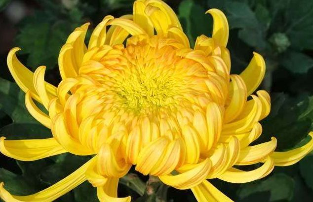 肛门塞异物很刺激？医生忙说：别乱来，快感之后全是悲伤