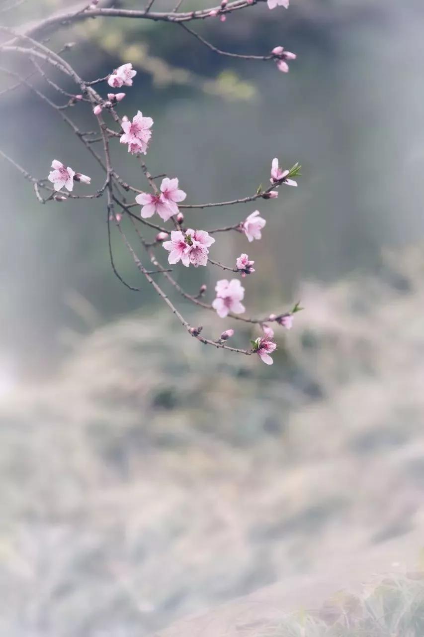 七情六欲可以用哪两个字表达,七情六欲的表达方法