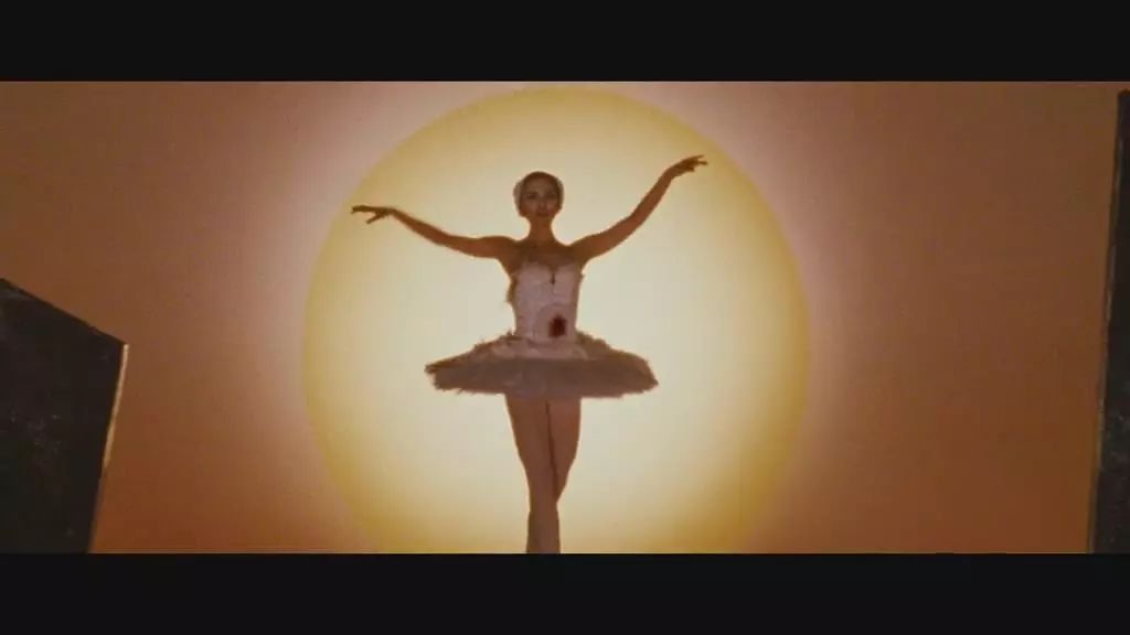 美丽的黑天鹅和白天鹅,美丽的黑天鹅完整版