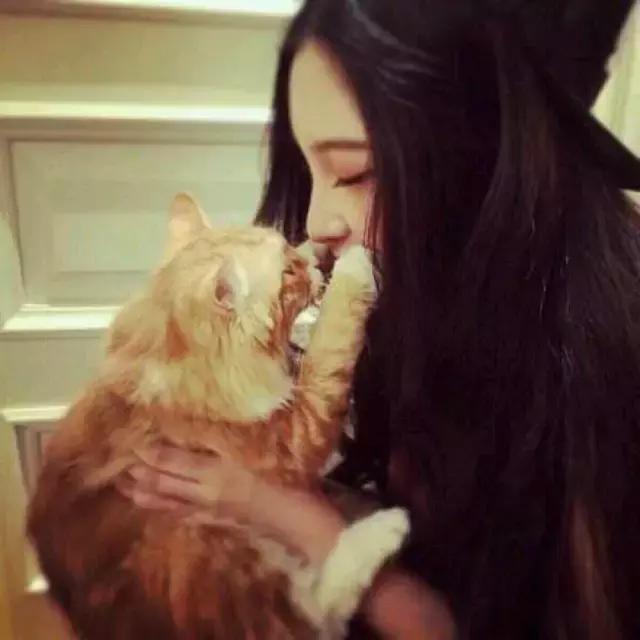 猫毛过敏，又很想养猫怎么办？十条建议帮你消除烦恼
