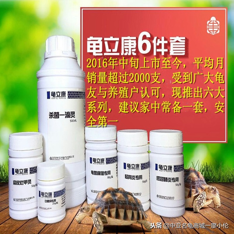 能在北方自然过冬的乌龟,乌龟过冬最好的办法