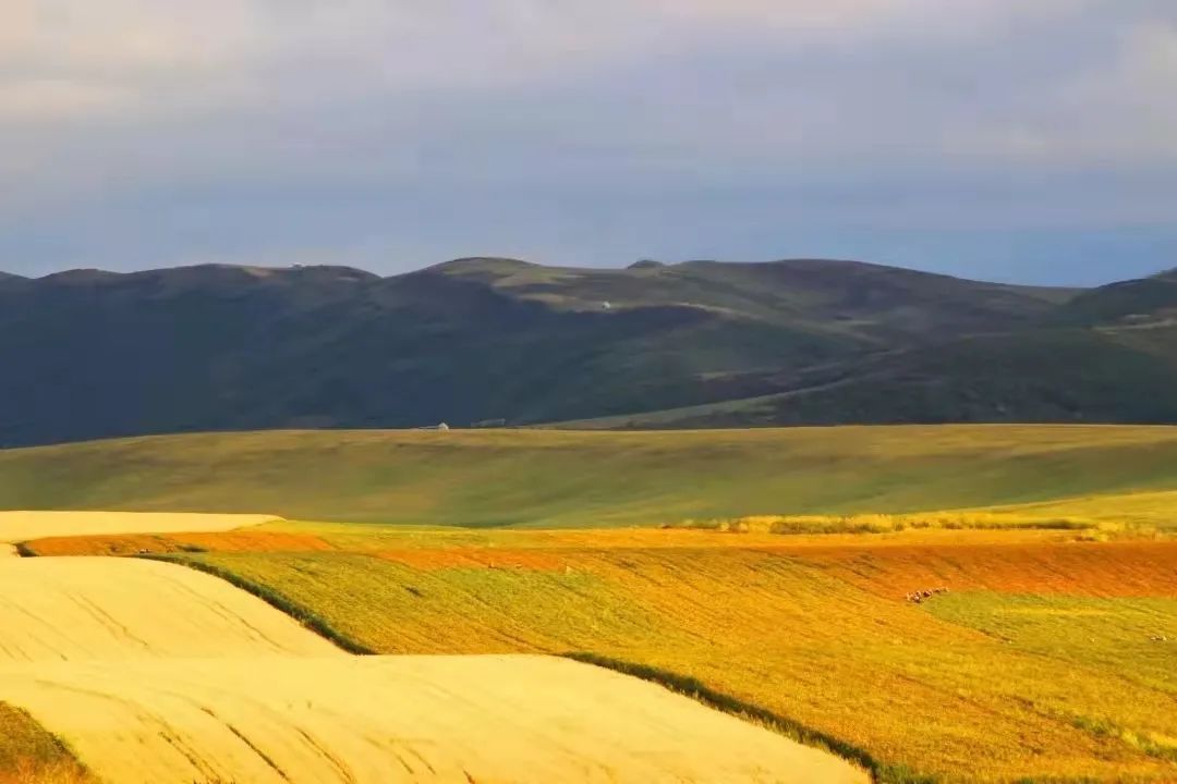 塔城生态环境优美,新疆是个好地方塔城