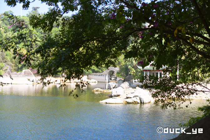 厦门网红拍照打卡地高铁,厦门旅游网红拍照