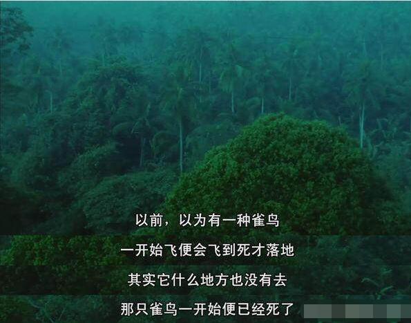 王家卫谈阿飞正传,阿飞正传王家卫成名之作