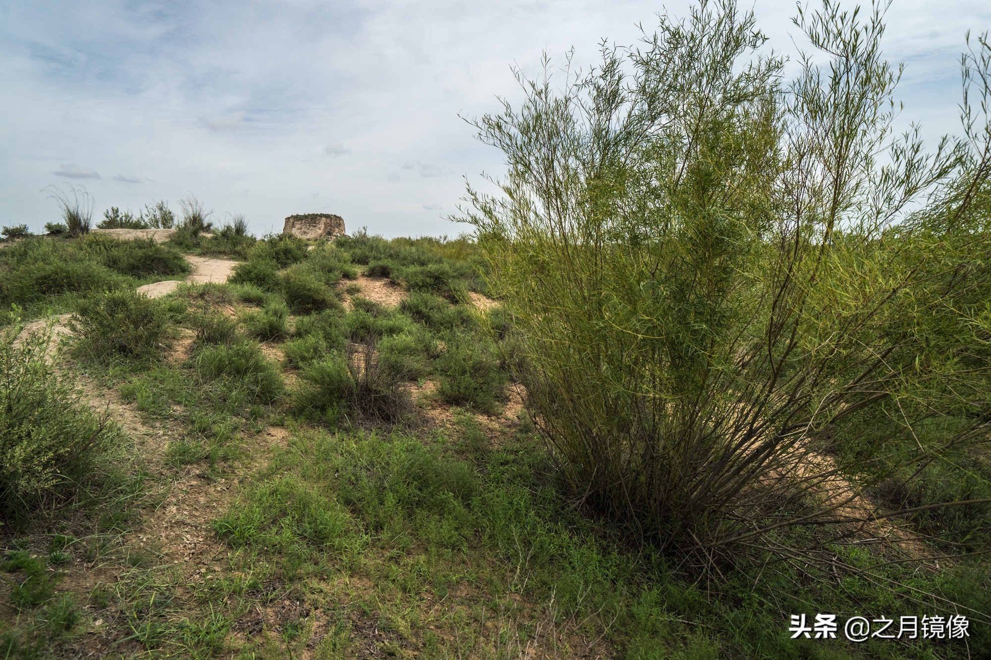 闈栬竟澶ф紶,闈栬竟澶ф紶椋庡厜