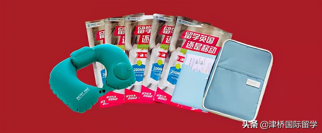 娲ユˉ鍥介檯鏁欒偛,娲ユˉ鍥介檯娴峰鏁欒偛