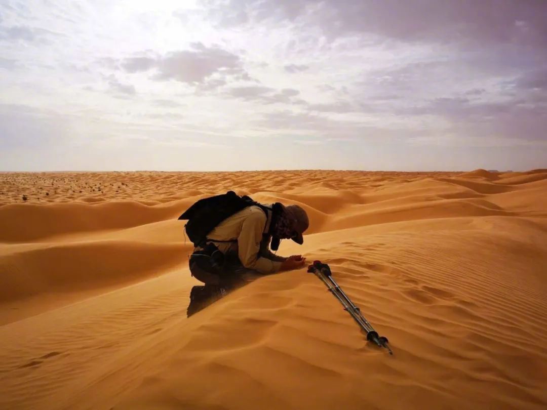 露营这阵风刮得太猛了,组团睡野地到底爽在哪里?