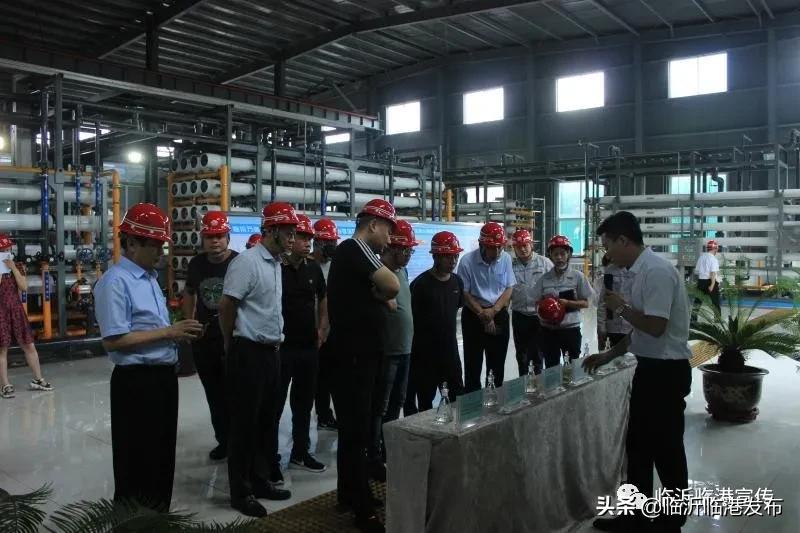 工业企业竟变身“3A景区”，咱临港也要这么干！