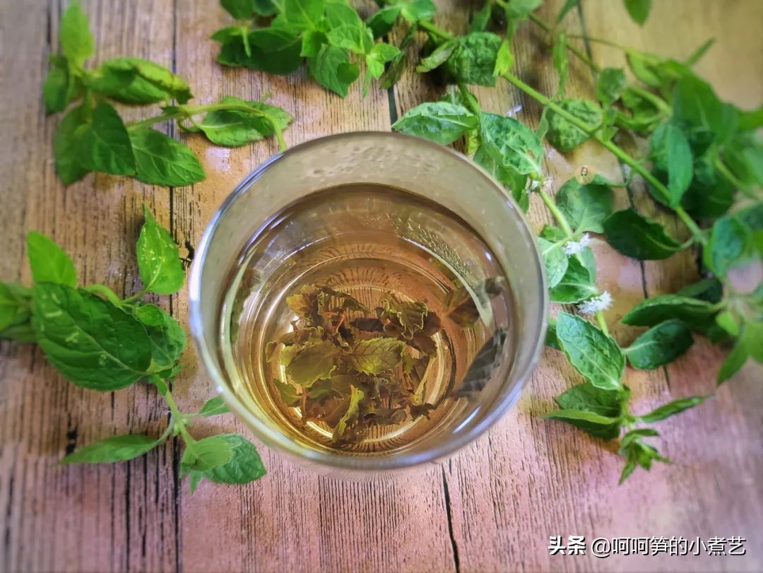 新鲜薄荷怎么弄茶,新鲜的薄荷叶怎么做才好吃