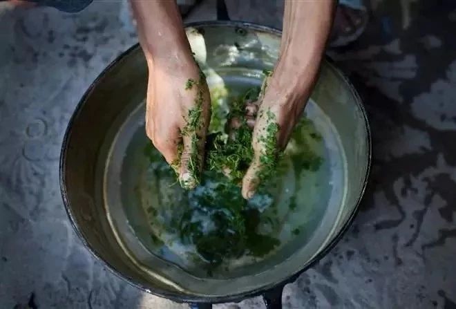 苦楝油杀虫一月喷几次,苦楝树怎么做杀虫剂杀菌