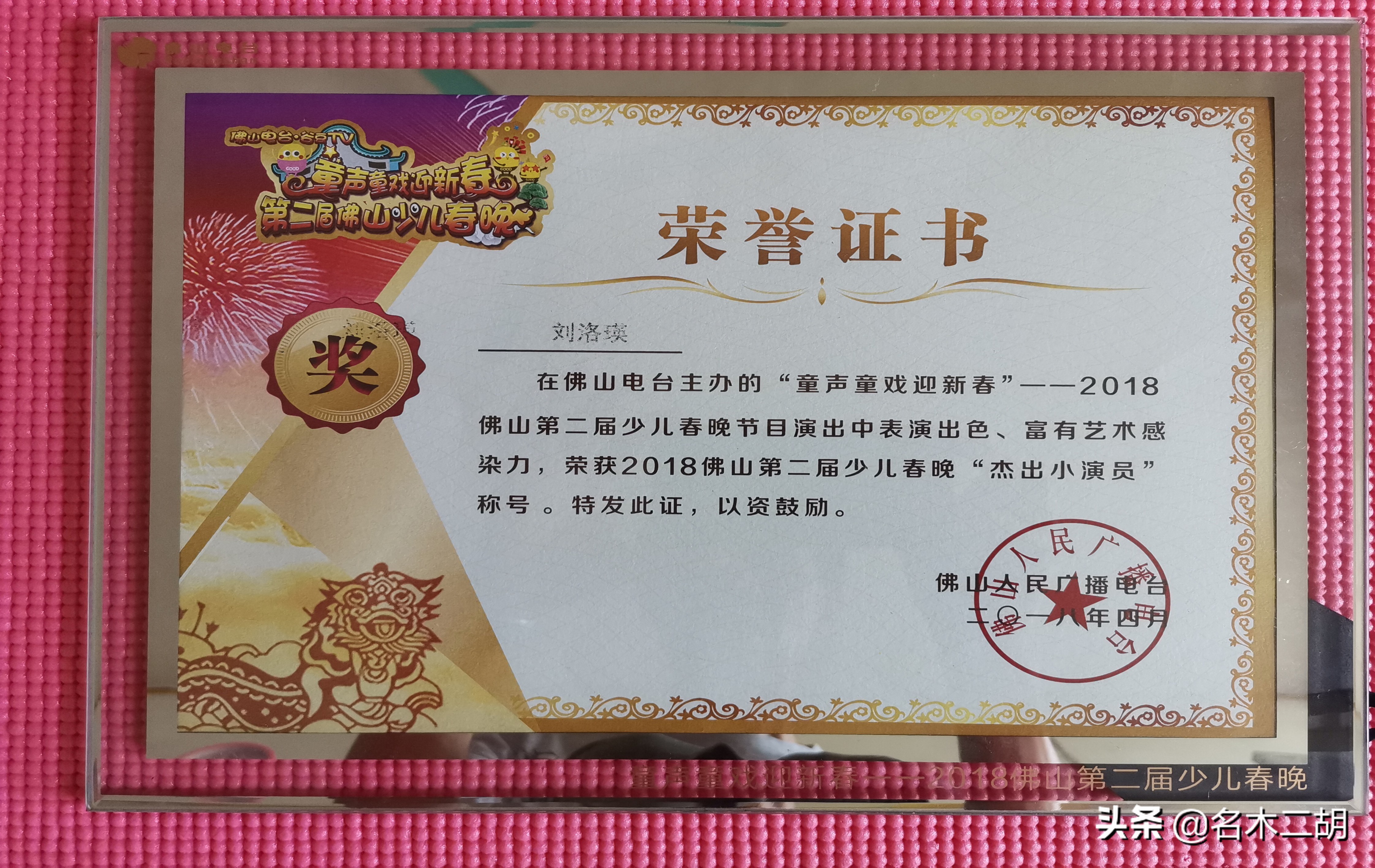 小小年纪就练了一身本领,小小年纪就学会散打