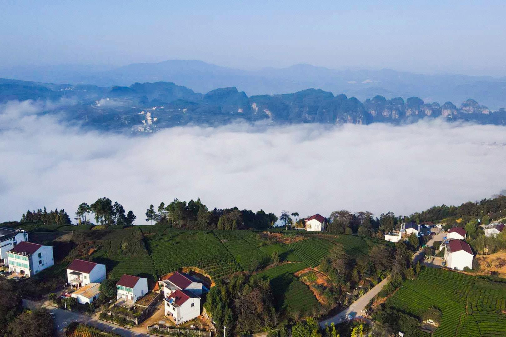 新昌穿岩十九峰农家乐住宿,绍兴穿岩十九峰风景区