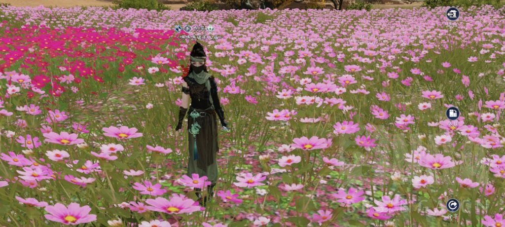 天涯明月刀手游天策,天涯明月刀手游羿思月