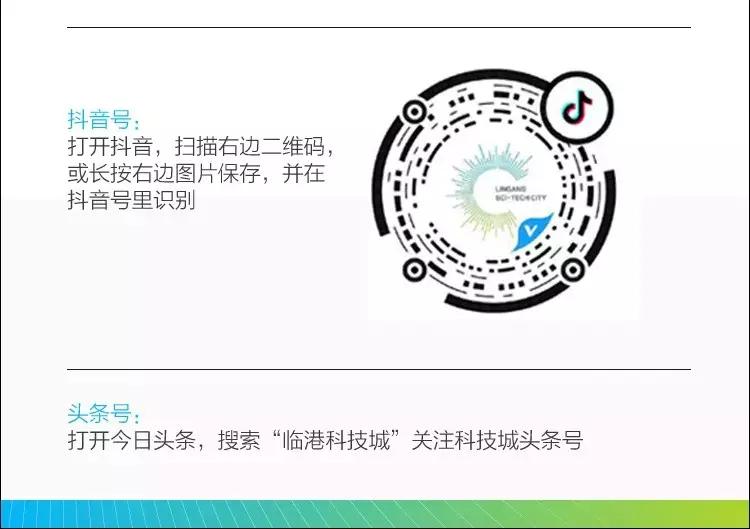 临港新片区科技产业园,上海临港科技创新城最新规划