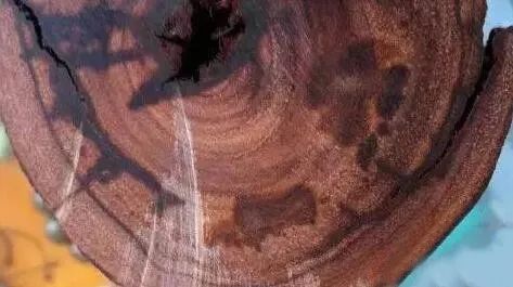 小叶紫檀黑了什么样,小叶紫檀为啥有黑圈