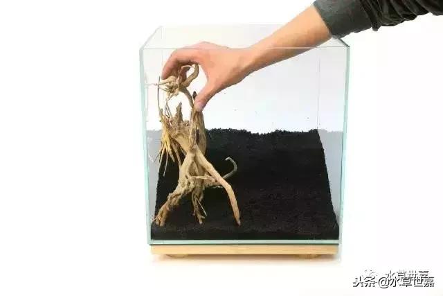 30cm小缸青龙石造景大全,30cm长缸原生溪流缸造景