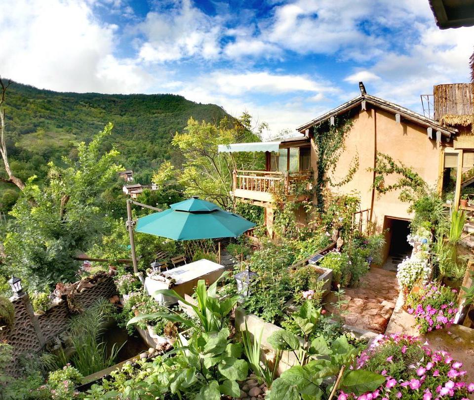 自媒体三农创业,自媒体助力农业农村发展