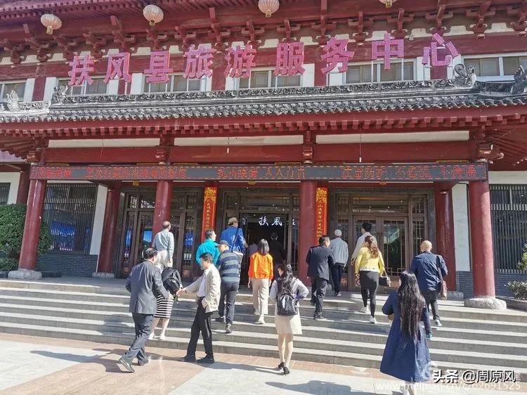 赴一场春日的邀约,五月赴一场与槐花的约会