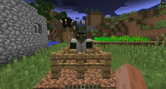 命名牌冷知识,在我的世界中命名牌的冷知识