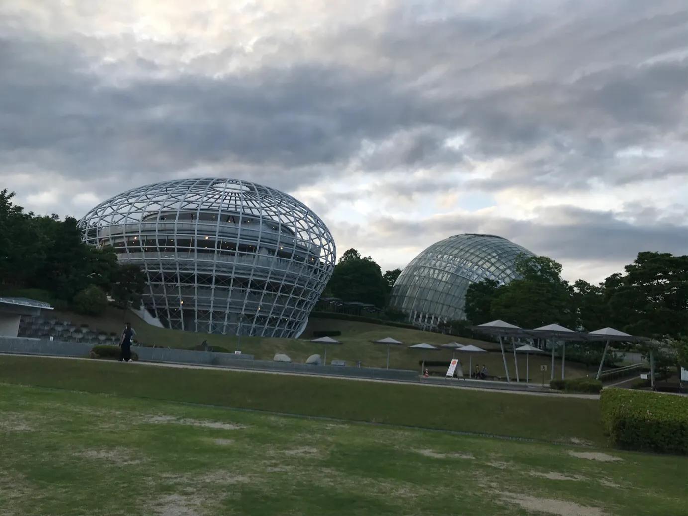 日本疫情举行聚会,日本民众疫情聚会