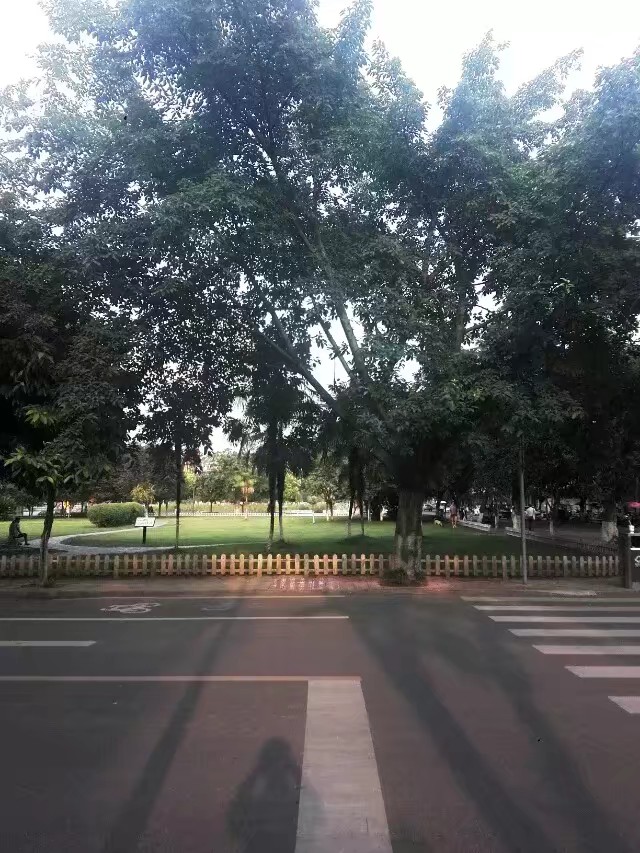 手机免费修复老照片软件,老照片扫描到手机