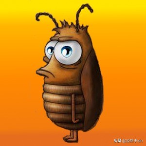 为什么有人讨厌小强,小强对人类的好处