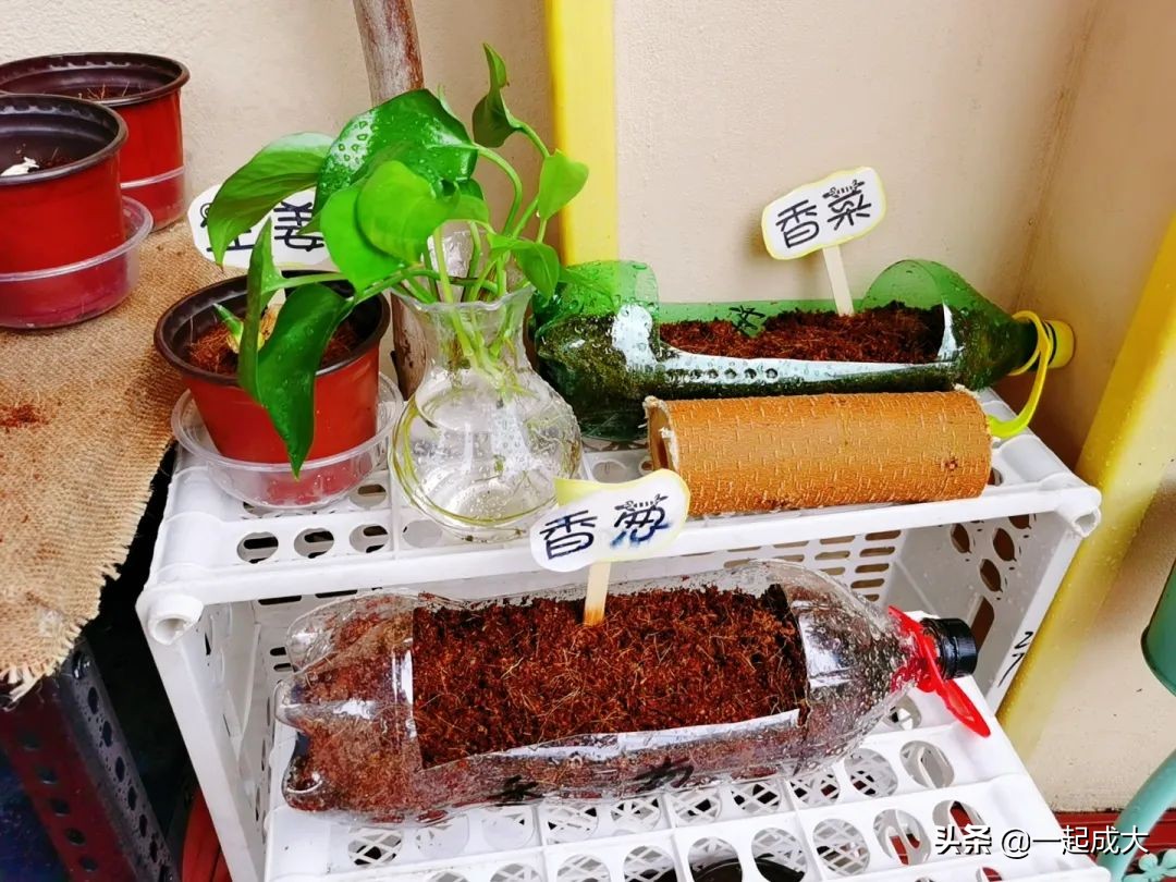 济南启明星幼儿园2018年,济南历城区启明星幼儿园