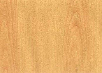 今日识木品种：榉木、香樟木、楠木、椴木、水曲柳及柳桉木