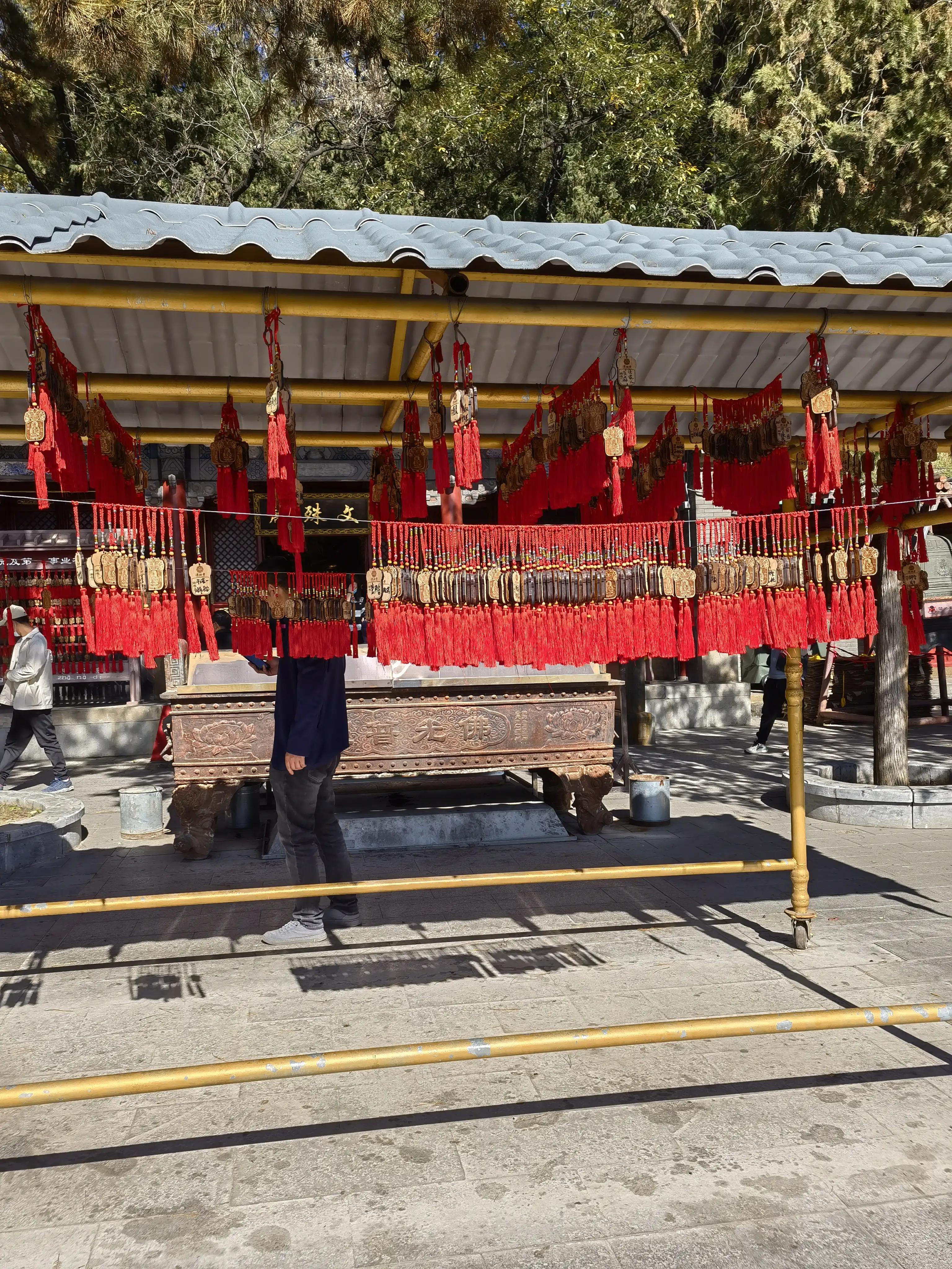 北京潭柘寺的古银杏树图片,潭柘寺银杏树观赏最佳时间