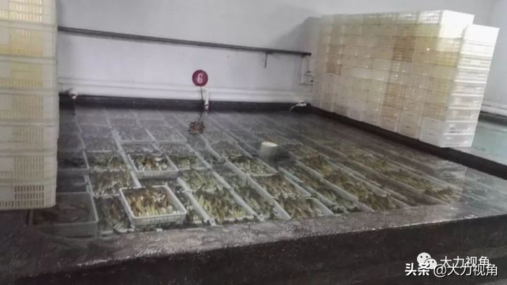 收藏海参干货,朝鲜有哪些有收藏价值的东西