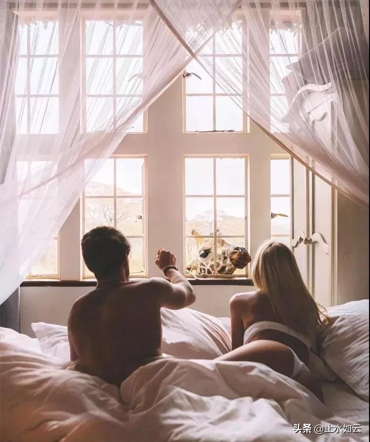 吃长颈鹿治艾滋病？为保护谣言下的生命他们建了家世界唯一的酒店