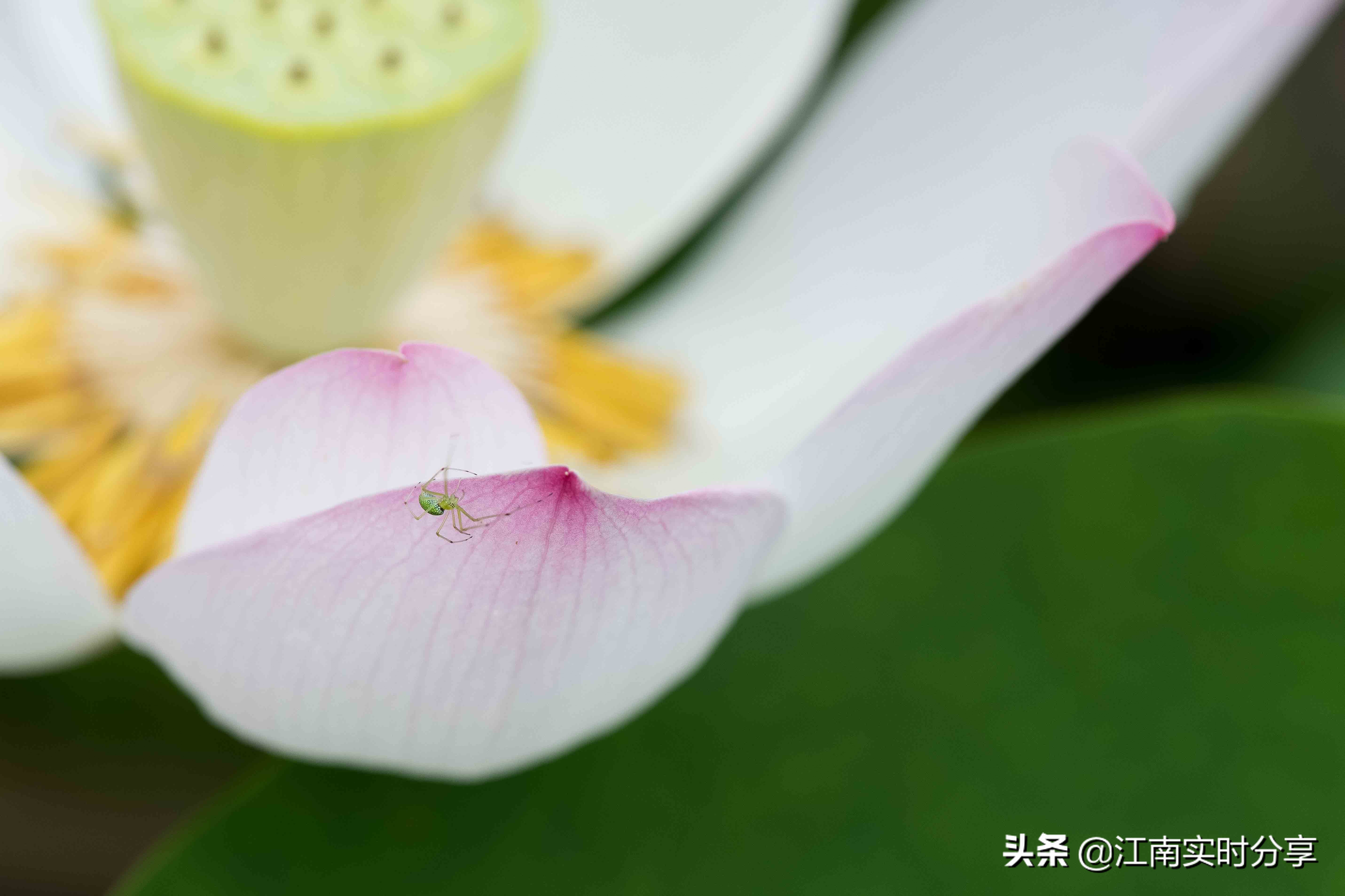 无锡自驾旅游景点推荐一日游攻略,无锡暑期旅游攻略