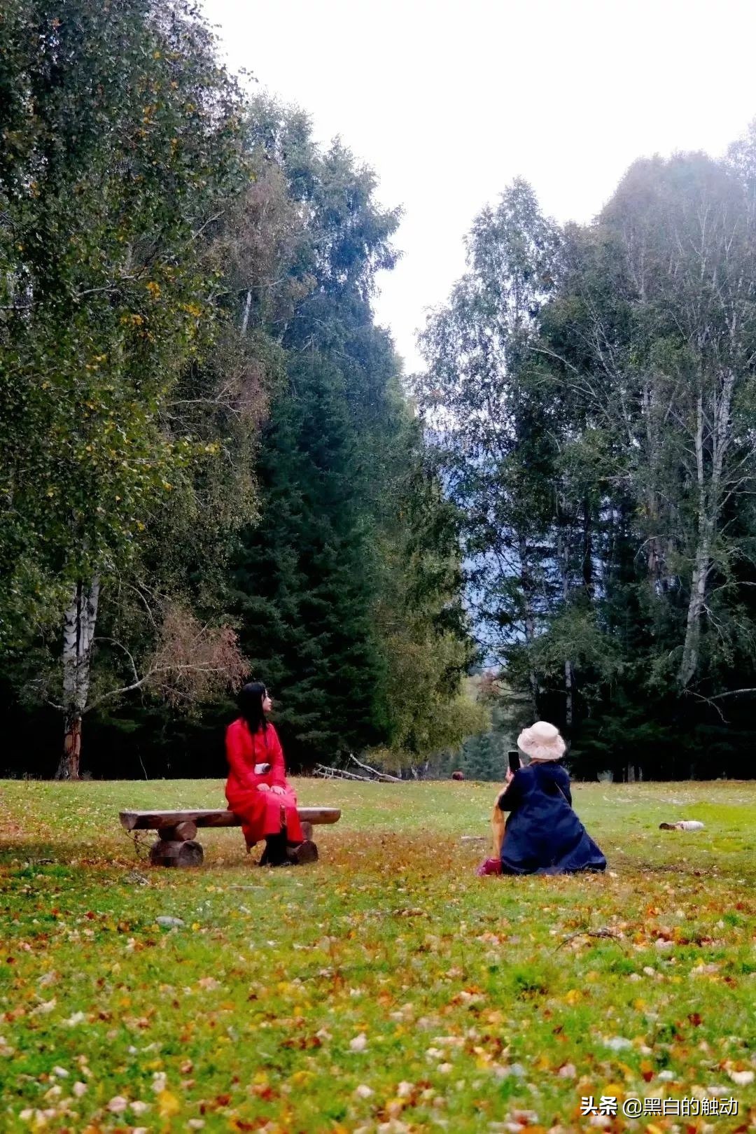 都说新疆好去新疆发展可靠么,都说新疆好地方