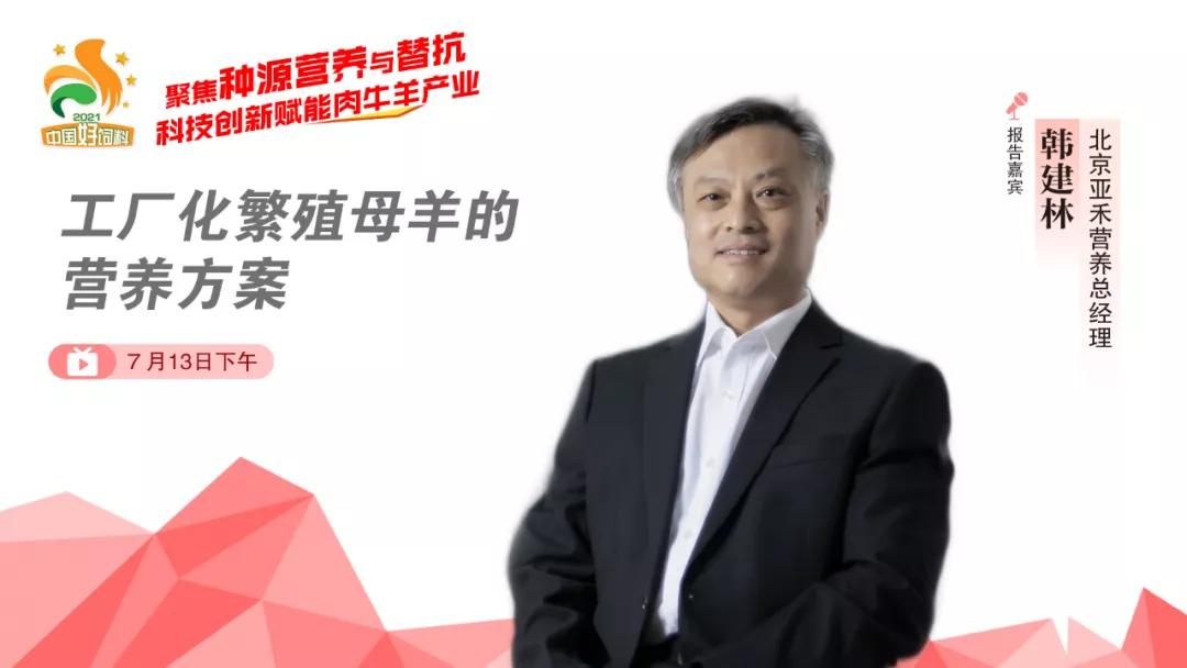 聚焦种源营养与替抗,7位专家分享“科技创新”赋能肉牛羊产业