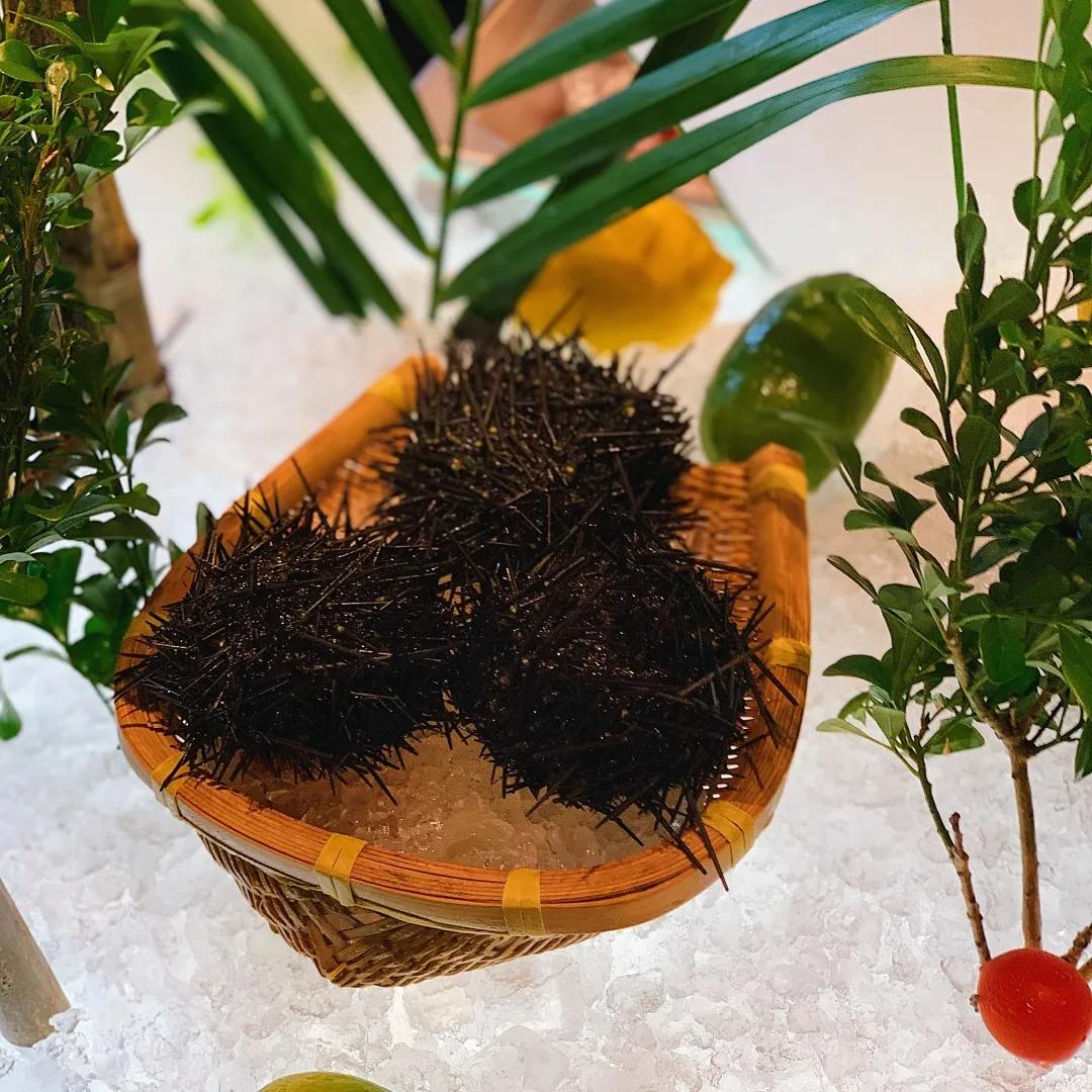 希尔顿逸林增城,希尔顿逸林五爱街