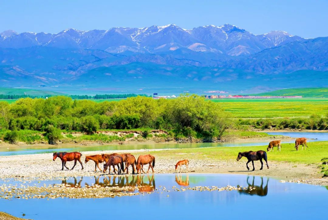 伊犁最美的50处绝色美景,伊犁最美的小众景点