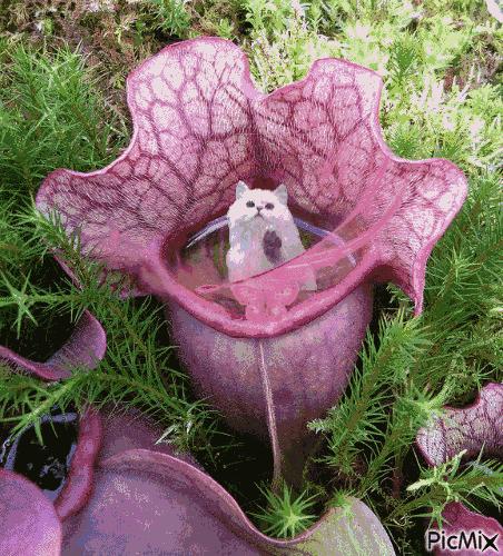 六一相册影集,六一照片专场